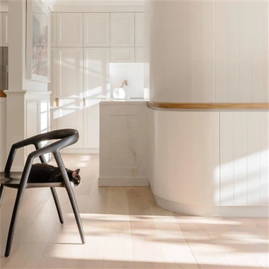 Valkoinen suunniteltu kovapuulattia